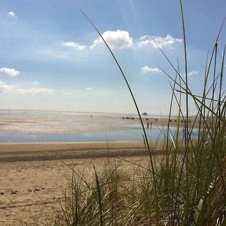 Neptune In The Amrum Wave Holiday home